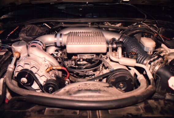 Picture.jpg (56097 bytes)