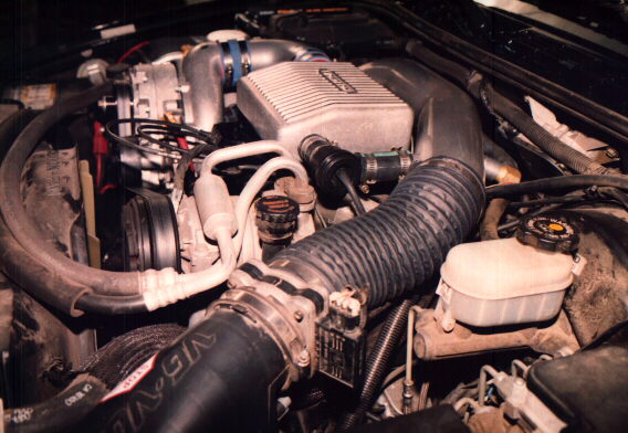 lfside.jpg (59055 bytes)